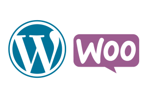 Wordpress-+-Woocommerce-color--DDsolution